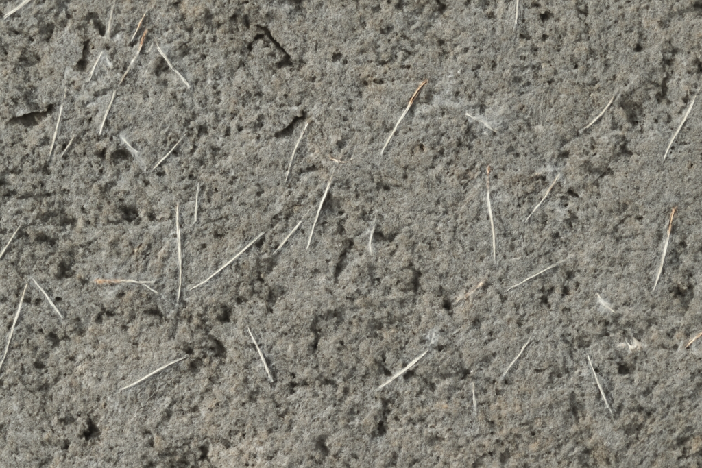 concrete with fiber reinforcements visible