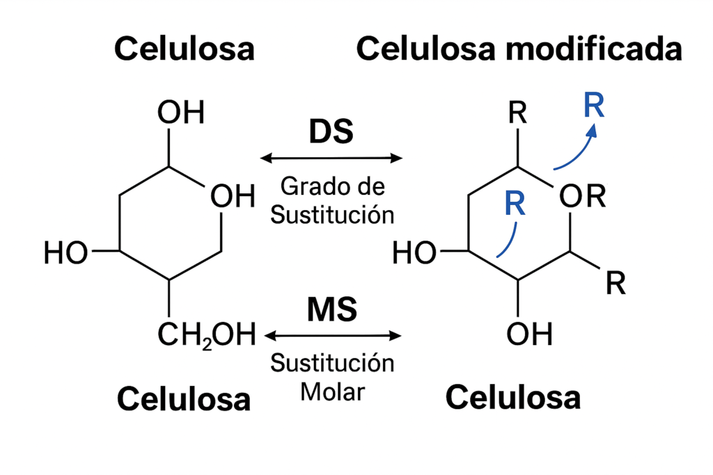 ilustración de DS y MS en celulosa