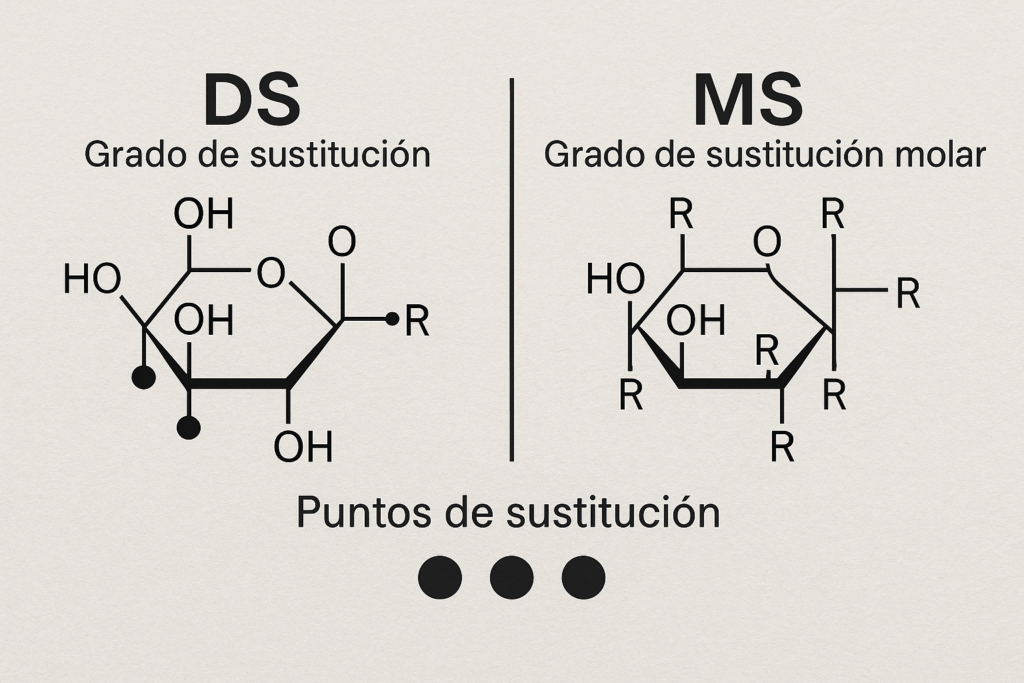 Diagrama de DS y MS