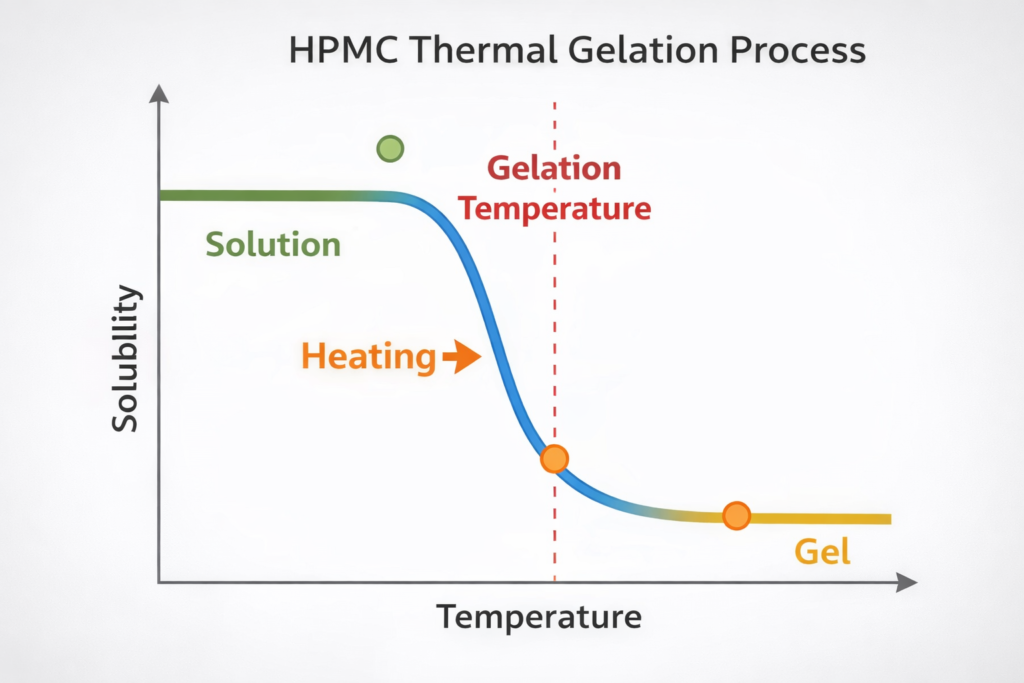 HPMC thermal gelation process